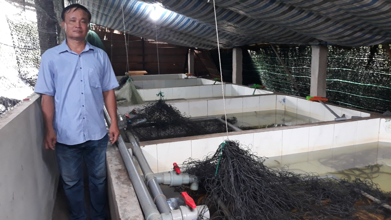 Sóc Trăng: Nông dân một phường ở TX Ngã Năm nuôi lươn, tham gia Tổ hội nông dân nghề nghiệp - Ảnh 1. Sóc Trăng: Nông dân một phường ở TX Ngã Năm nuôi lươn, tham gia Tổ hội nông dân nghề nghiệp - Ảnh 1.